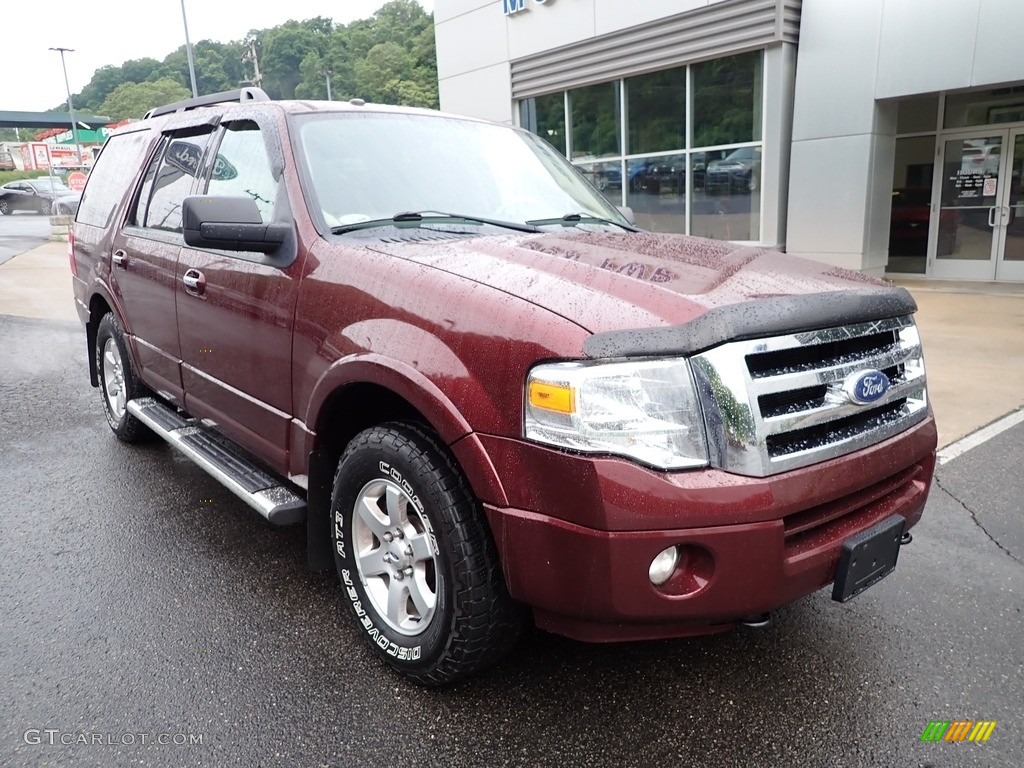 2010 Expedition XLT 4x4 - Royal Red Metallic / Camel photo #9