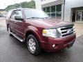 2010 Royal Red Metallic Ford Expedition XLT 4x4  photo #9