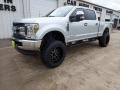 Ingot Silver - F250 Super Duty XLT Crew Cab 4x4 Photo No. 2