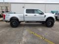 Ingot Silver - F250 Super Duty XLT Crew Cab 4x4 Photo No. 12