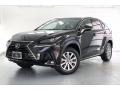 2018 NX 300 Caviar