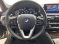 Black 2018 BMW 5 Series 530i Sedan Steering Wheel