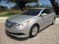 Radiant Silver - Sonata GLS Photo No. 1