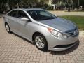 Radiant Silver - Sonata GLS Photo No. 13