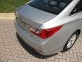 Radiant Silver - Sonata GLS Photo No. 31