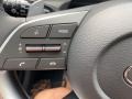 Dark Gray/Camel Steering Wheel Photo for 2021 Hyundai Sonata #142164738