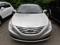 Radiant Silver - Sonata GLS Photo No. 4