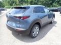 Polymetal Gray Metallic - CX-30 Premium AWD Photo No. 2