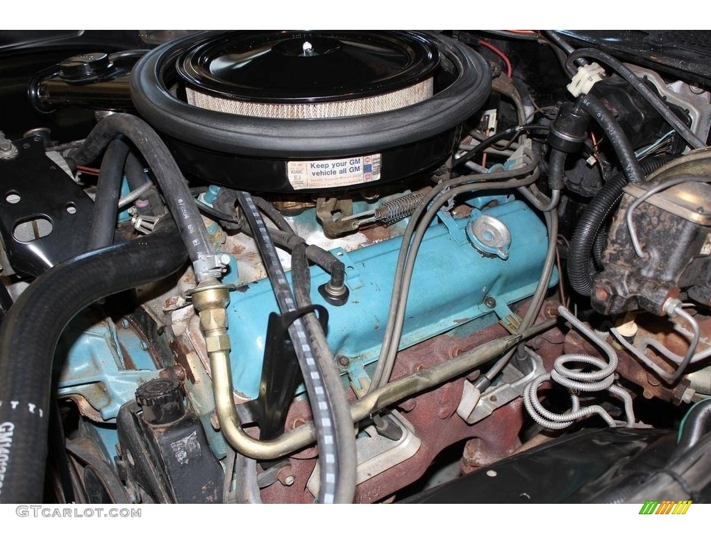 1980 Chevrolet Camaro Z28 Sport Coupe Engine Photos