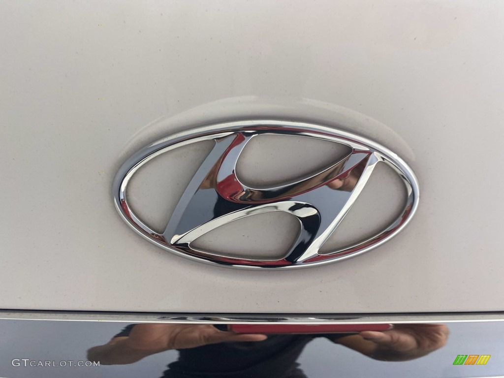 2013 Sonata Limited - Shimmering White / Camel photo #10