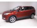 2014 Sunset Ford Escape Titanium 2.0L EcoBoost 4WD  photo #3