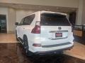 Starfire Pearl - GX 460 Premium Photo No. 4