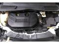 2014 White Platinum Ford Escape Titanium 2.0L EcoBoost 4WD  photo #18