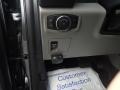 Magnetic - F150 STX SuperCrew 4x4 Photo No. 13