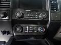 Magnetic - F150 STX SuperCrew 4x4 Photo No. 15