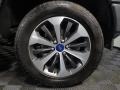 Magnetic - F150 STX SuperCrew 4x4 Photo No. 19