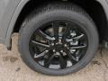 Sting-Gray - Grand Cherokee Laredo 4x4 Photo No. 10