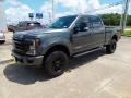 Silver Spruce - F250 Super Duty Lariat Crew Cab 4x4 Tremor Off-Road Package Photo No. 2