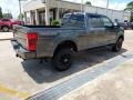 Silver Spruce - F250 Super Duty Lariat Crew Cab 4x4 Tremor Off-Road Package Photo No. 3