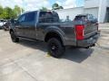 Silver Spruce - F250 Super Duty Lariat Crew Cab 4x4 Tremor Off-Road Package Photo No. 11