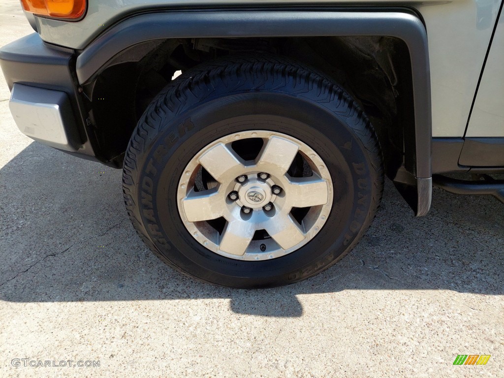 2010 FJ Cruiser  - Silver Fresco Metallic / Dark Charcoal photo #10