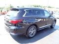 2017 Black Obsidian Infiniti QX60 AWD  photo #9