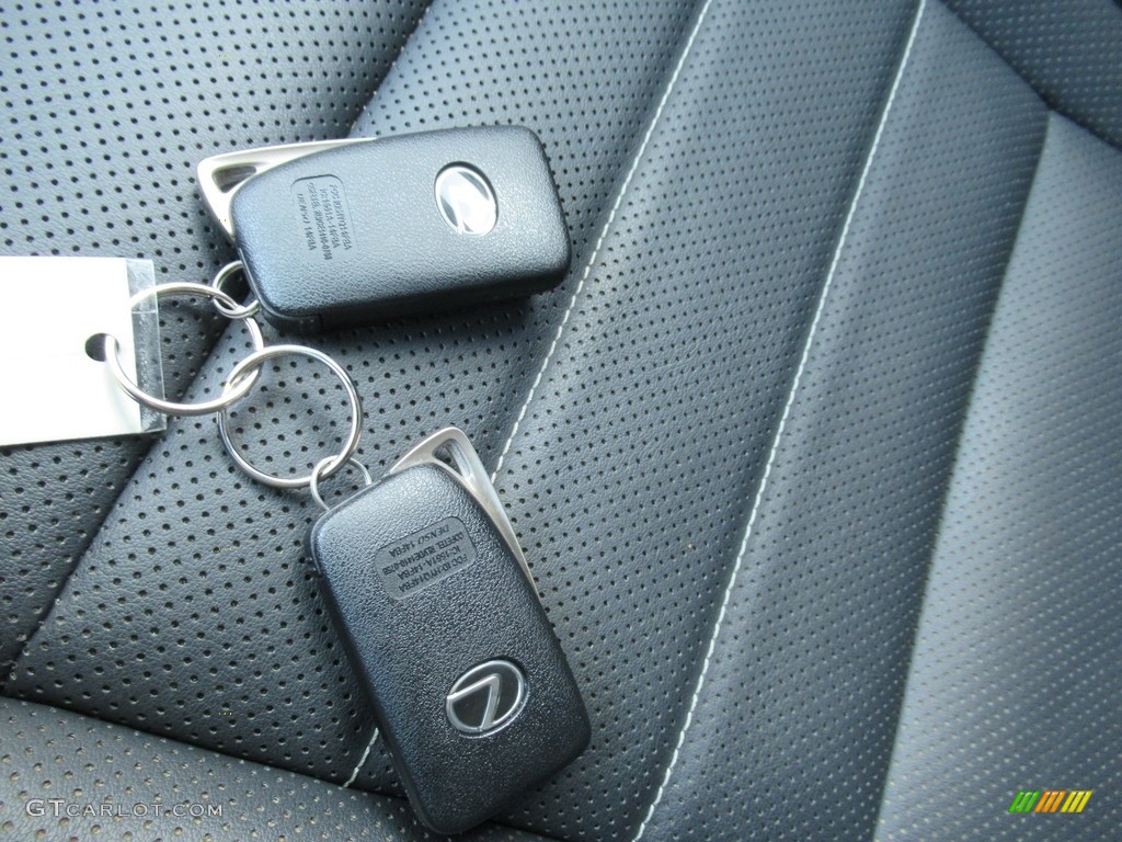 2015 Lexus NX 200t F Sport Keys Photo #142225095
