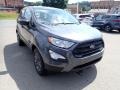 Smoke Metallic - EcoSport S Photo No. 3
