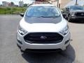 Moondust Silver Metallic - EcoSport S 4WD Photo No. 4