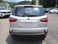 Moondust Silver Metallic - EcoSport S 4WD Photo No. 8