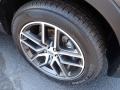 Magnetic - Explorer Sport 4WD Photo No. 14
