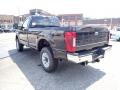 Agate Black - F250 Super Duty XL Regular Cab 4x4 Photo No. 6