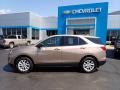 2019 Sandy Ridge Metallic Chevrolet Equinox LS AWD  photo #3