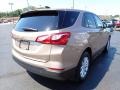 2019 Sandy Ridge Metallic Chevrolet Equinox LS AWD  photo #8