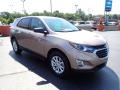 2019 Sandy Ridge Metallic Chevrolet Equinox LS AWD  photo #11