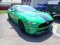 Need For Green 2019 Ford Mustang GT Premium Fastback Exterior