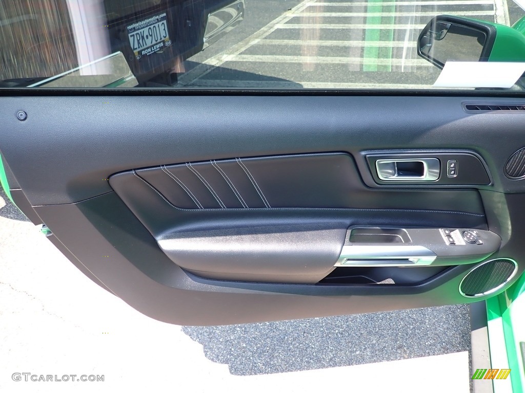 2019 Ford Mustang GT Premium Fastback Door Panel Photos