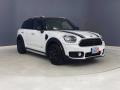 Light White - Countryman Cooper ALL4 Photo No. 38