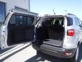 Moondust Silver Metallic - EcoSport SE 4WD Photo No. 29