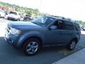 2010 Steel Blue Metallic Ford Escape Limited V6 4WD  photo #7