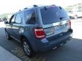 2010 Steel Blue Metallic Ford Escape Limited V6 4WD  photo #9