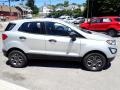 Moondust Silver Metallic - EcoSport S Photo No. 7