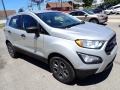 Moondust Silver Metallic - EcoSport S Photo No. 8
