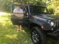 Rhino - Wrangler Unlimited Rubicon 4x4 Photo No. 3