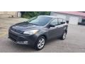Ingot Silver Metallic - Escape SE 4WD Photo No. 2