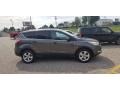 Ingot Silver Metallic - Escape SE 4WD Photo No. 5