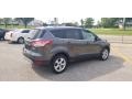Ingot Silver Metallic - Escape SE 4WD Photo No. 6