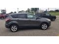 Ingot Silver Metallic - Escape SE 4WD Photo No. 21