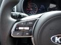 Black Cherry - Sportage LX AWD Photo No. 22