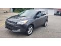 Ingot Silver Metallic - Escape SE 4WD Photo No. 22